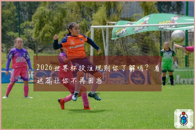 2026世界杯投注规则你了解吗？看这篇让你不再困惑