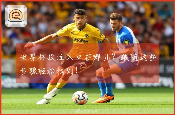 世界杯投注入口在哪儿？跟随这些步骤轻松找到！