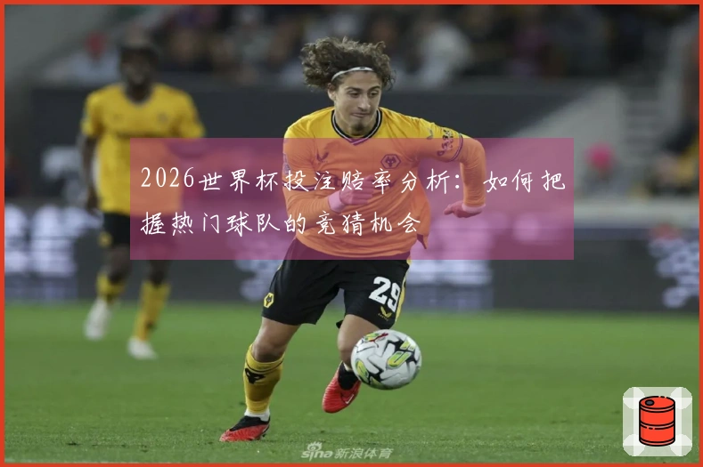 2026世界杯投注赔率分析：如何把握热门球队的竞猜机会